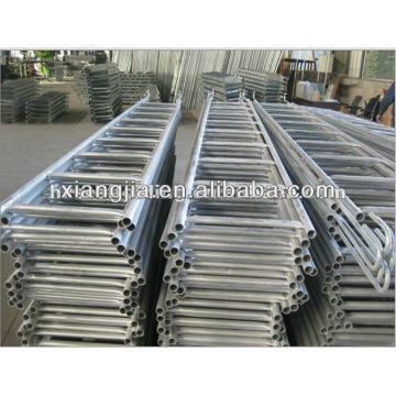 Galvanized Steel Scaffolding Ladder/ Monkey Ladder